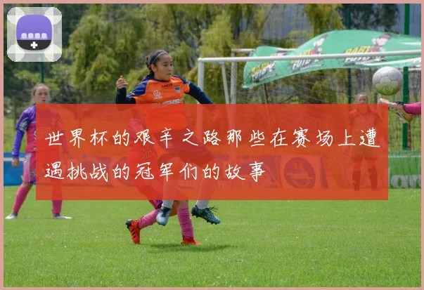 世界杯的艰辛之路那些在赛场上遭遇挑战的冠军们的故事